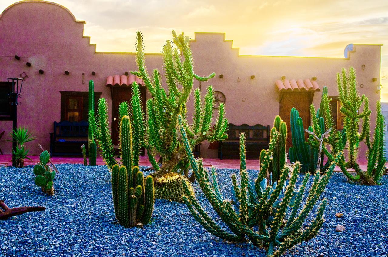 El Alamo Hotel Valle de Guadalupe Exterior foto